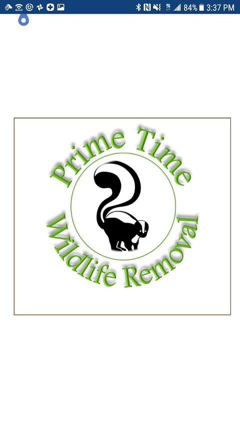 Prime Time Wildlife Removal
